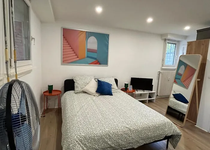 Chaleureux Orangerie A Lägenhet Strasbourg